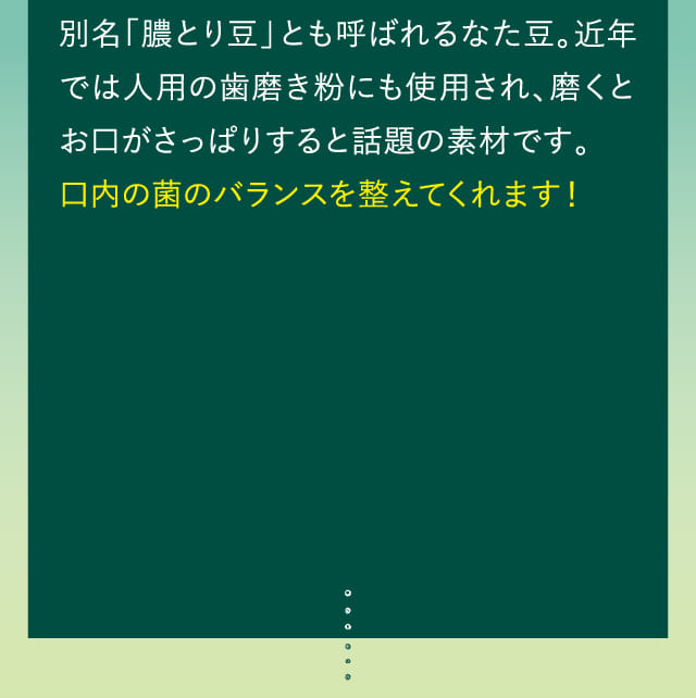 別名「膿とり豆」とも呼ばれるなた豆。…