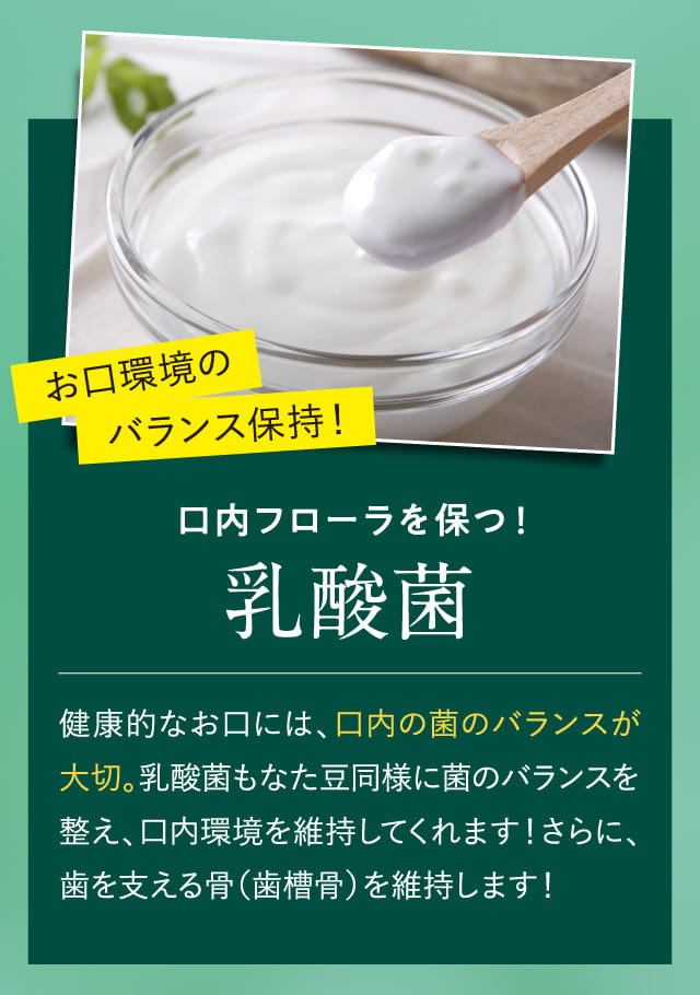 お口環境のバランスを保持！口内フローラを保つ！乳酸菌