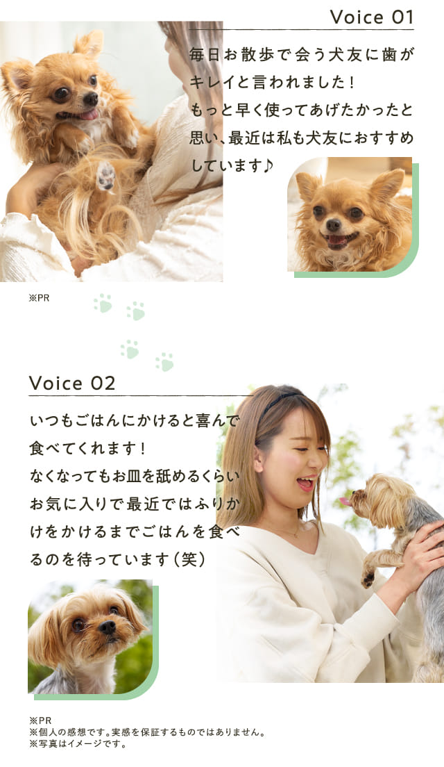 Voice01 毎日お散歩で…