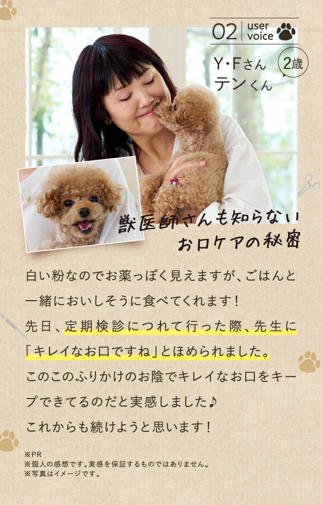 獣医師さんも知らないお口ケアの秘密