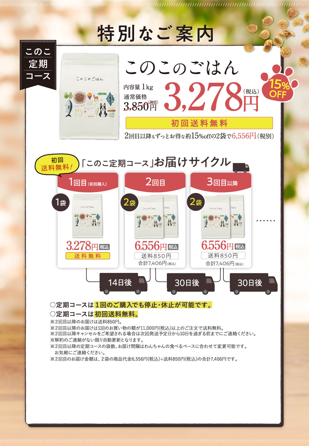 このこ定期コース