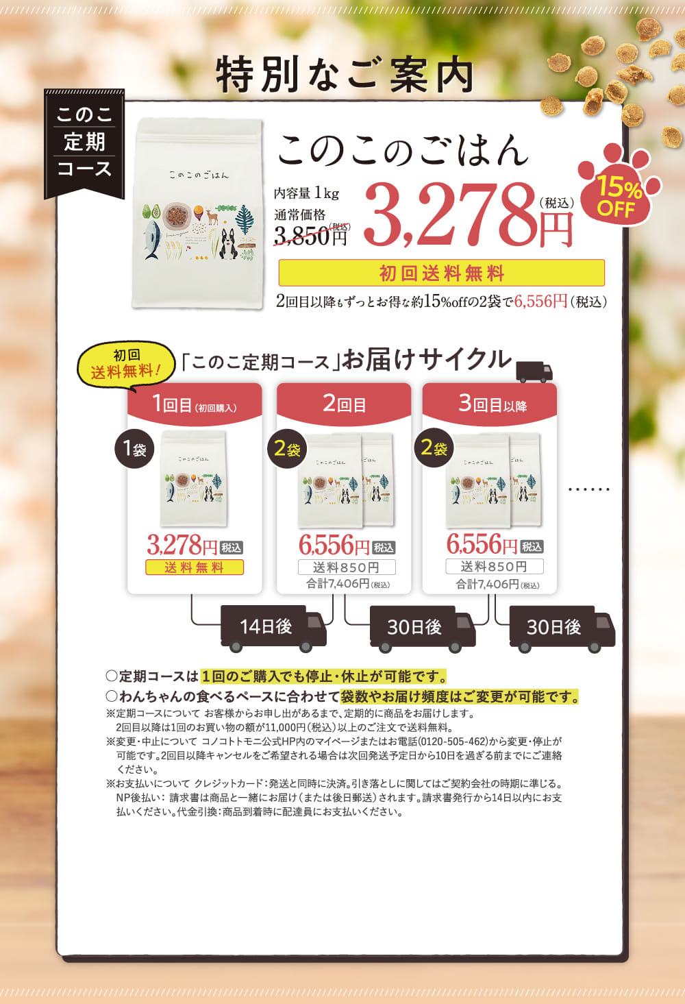 このこ定期コース