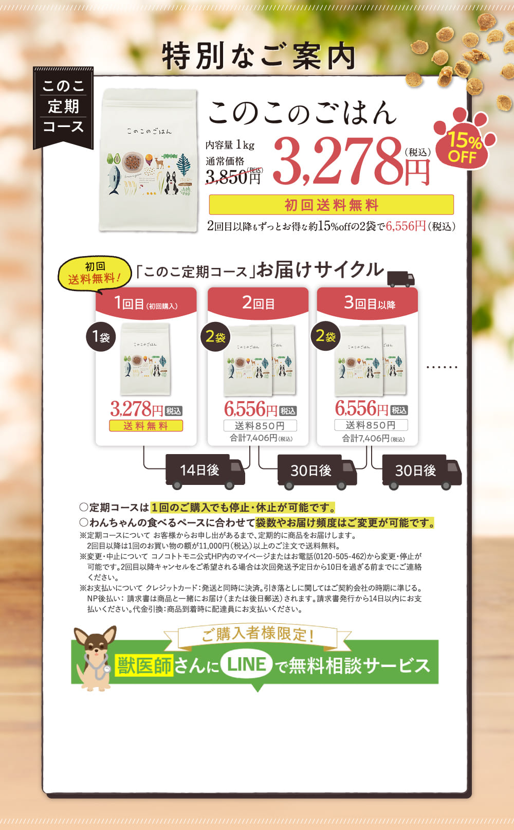 このこ定期コース