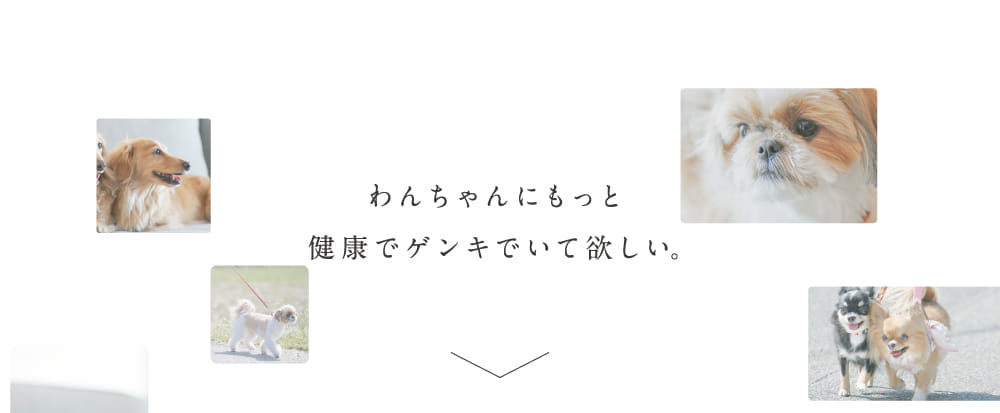 わんちゃんにもっと健康でゲンキでいて欲しい。