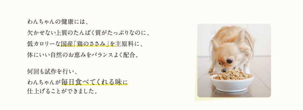 わんちゃんの健康には、...