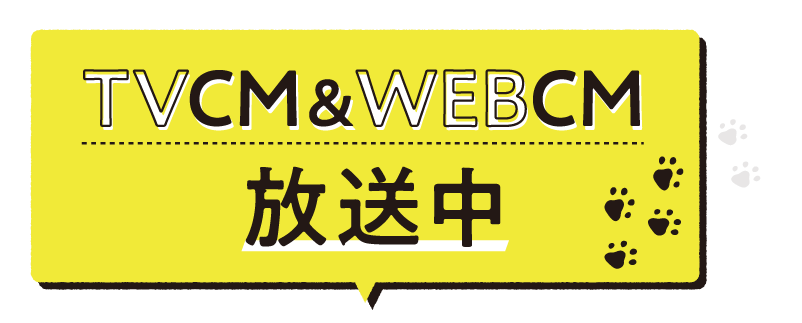 TVCM＆WEBCM放送中