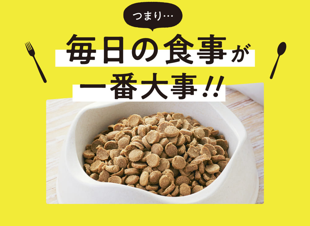 毎日の食事が一番大事！！