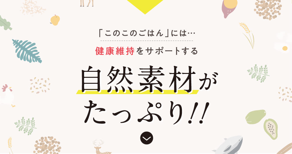 健康維持をサポートする自然素材がたっぷり！！