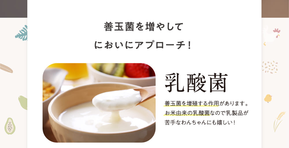 善玉菌を増やしてにおいにアプローチ！