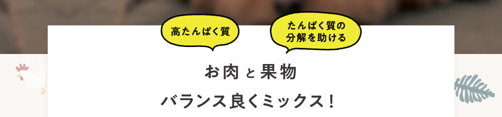 お肉と果物バランス良くミックス！