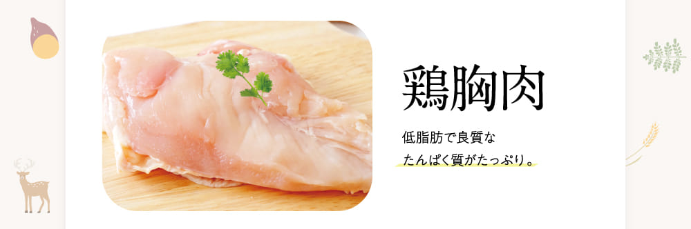 鶏胸肉