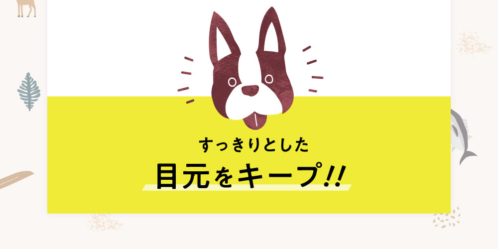 すっきりとした目元をキープ！！