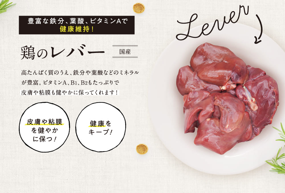 鶏のレバー