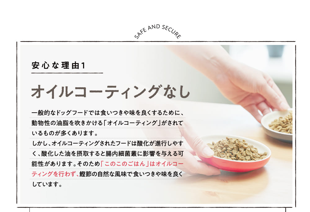 オイルコーティングなし