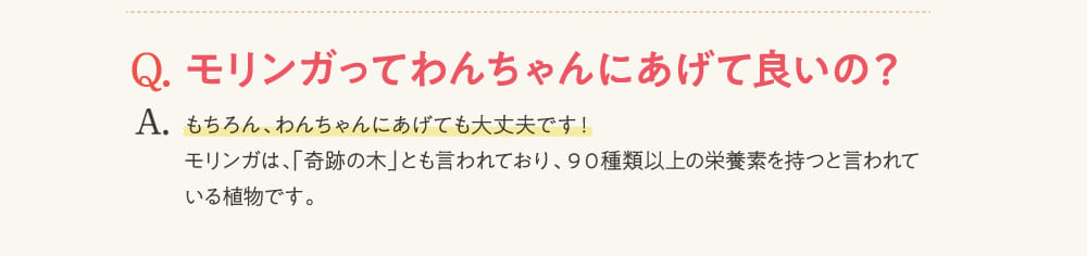 Q.モリンガってわんちゃんにあげて良いの？...