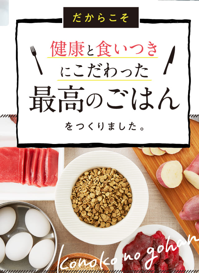 このこのごはん｜コノコトトモニ