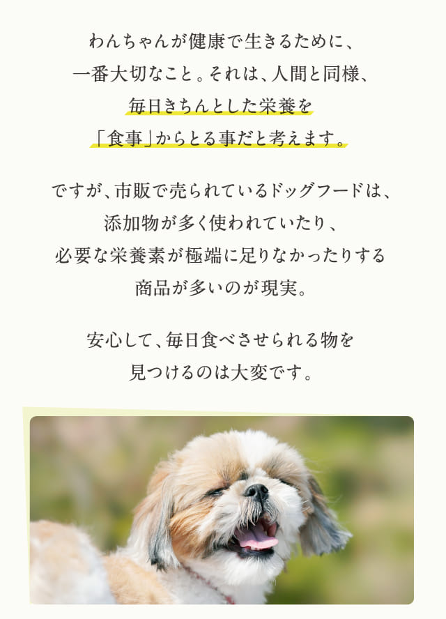 このこのごはん｜コノコトトモニ
