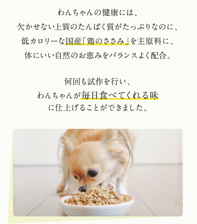 このこのごはん｜コノコトトモニ