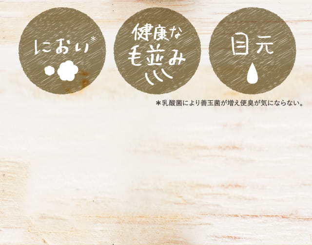 このこのごはん｜コノコトトモニ