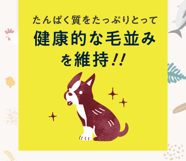 このこのごはん｜コノコトトモニ