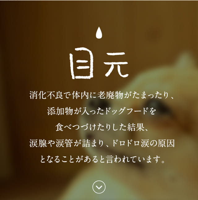 このこのごはん｜コノコトトモニ