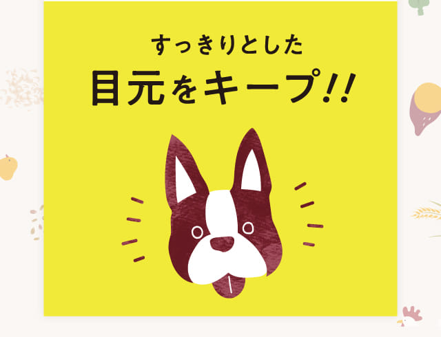 このこのごはん｜コノコトトモニ