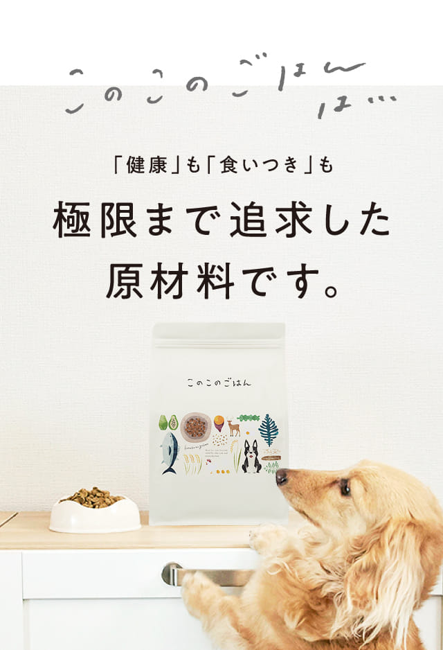 このこのごはん｜コノコトトモニ