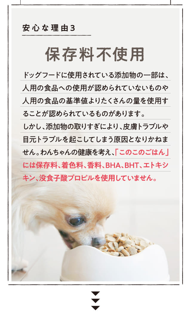 このこのごはん｜コノコトトモニ