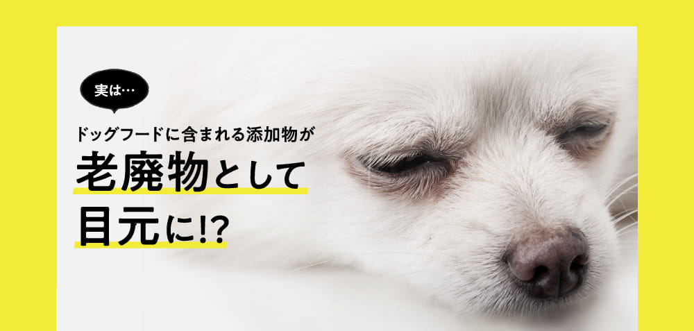 ドッグフードに含まれる添加物が老廃物として目元に！？