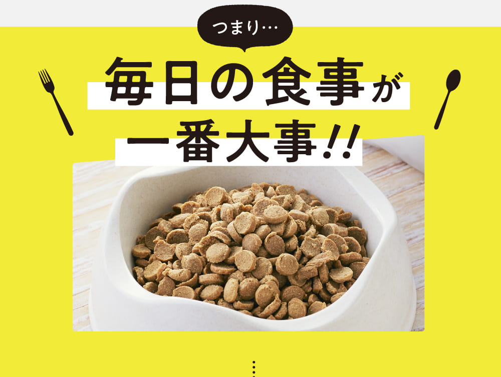毎日の食事が一番大事！！