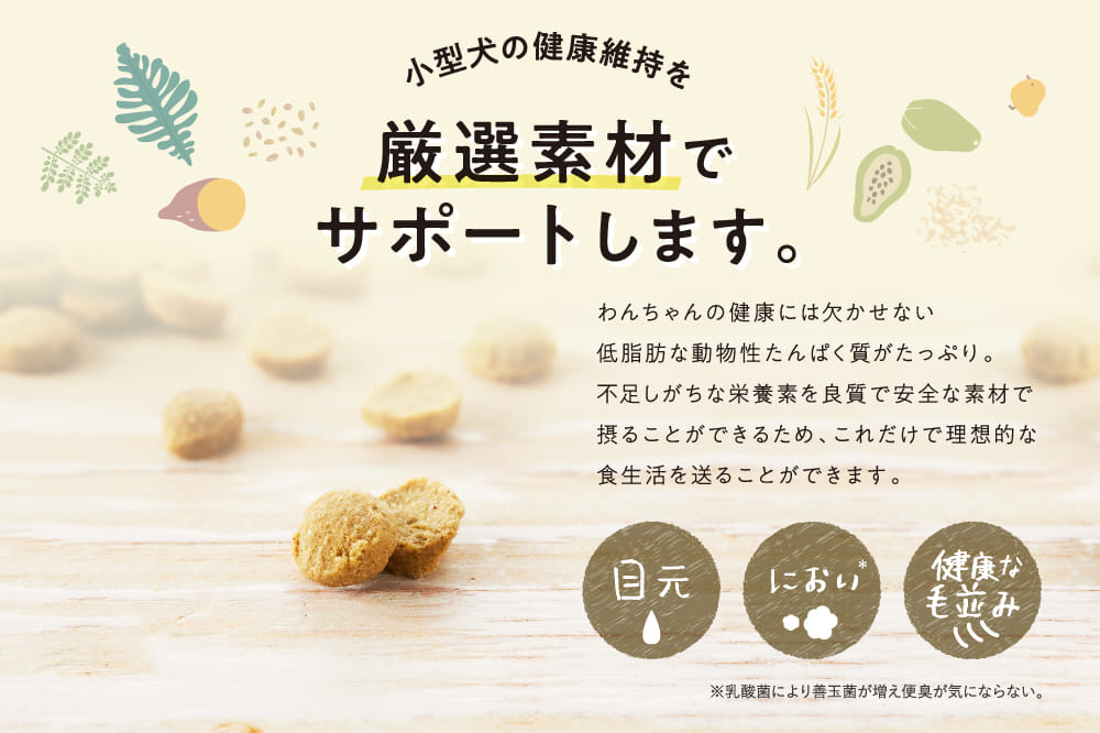 厳選素材でサポートします。