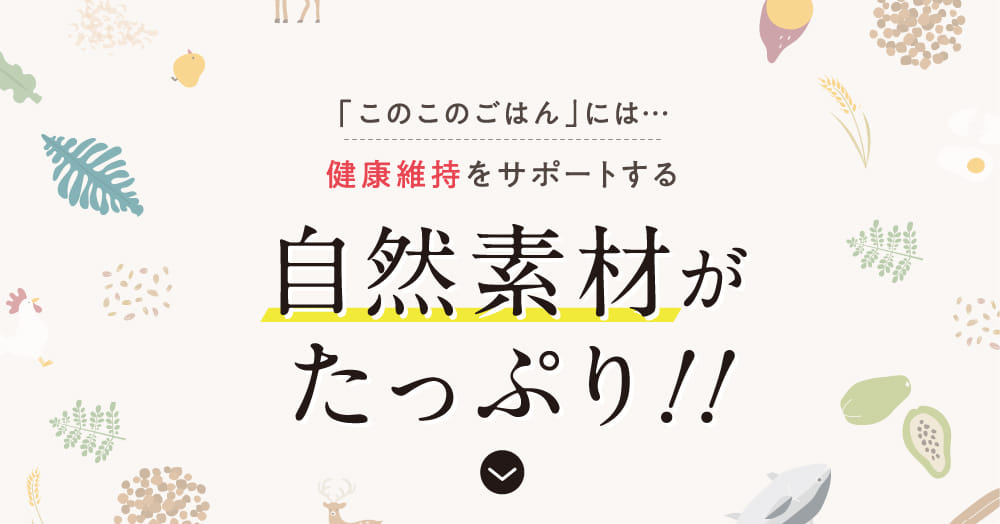 自然素材がたっぷり！！