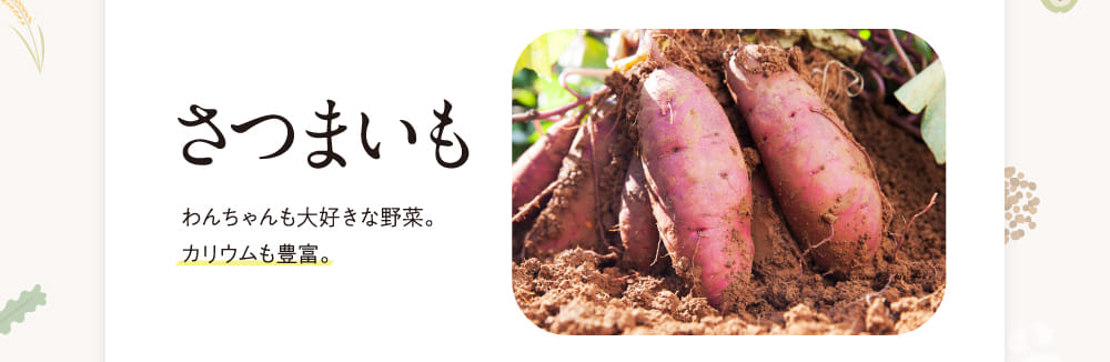 さつまいも
