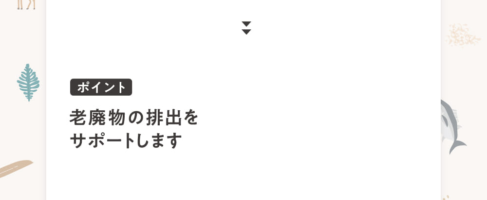 老廃物の排出をサポートします