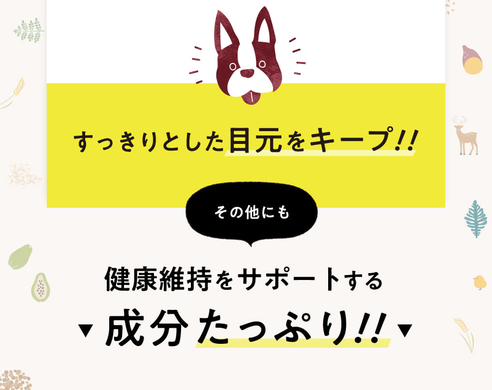 すっきりとした目元をキープ！！