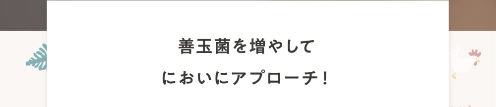 善玉菌を増やしてにおいにアプローチ！
