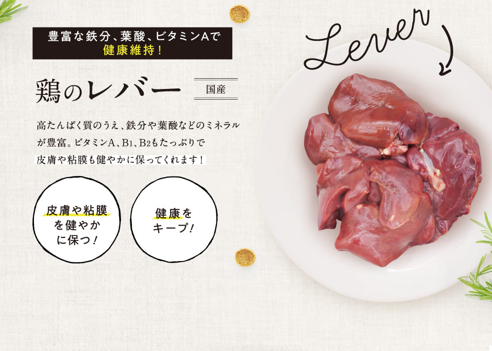 鶏のレバー