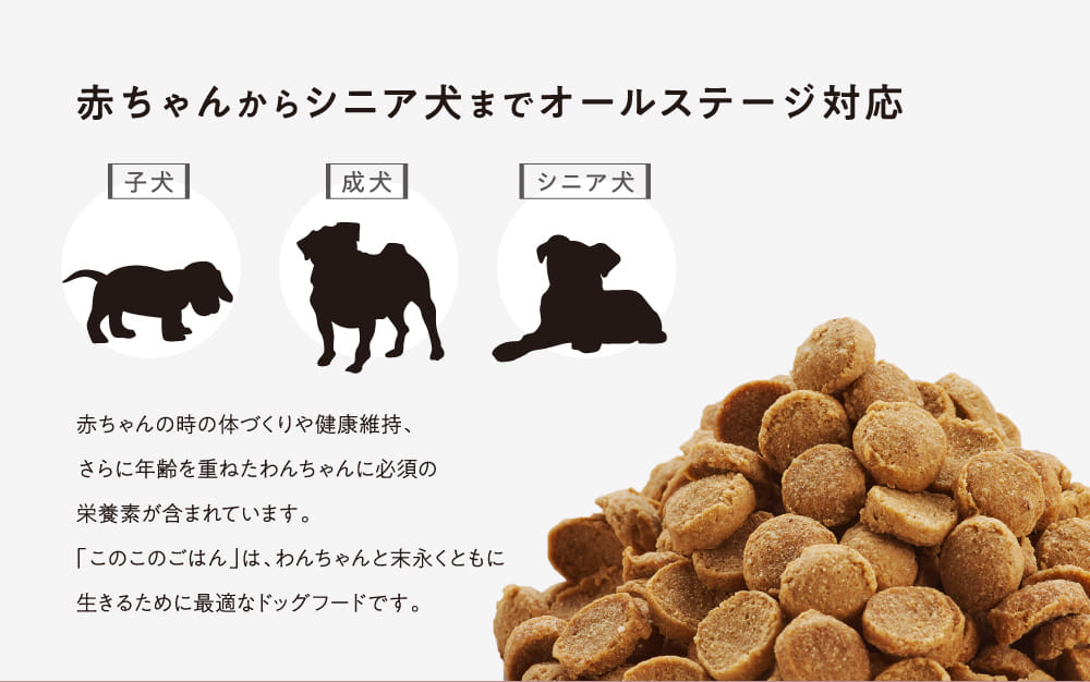 赤ちゃんからシニア犬までオールステージ対応