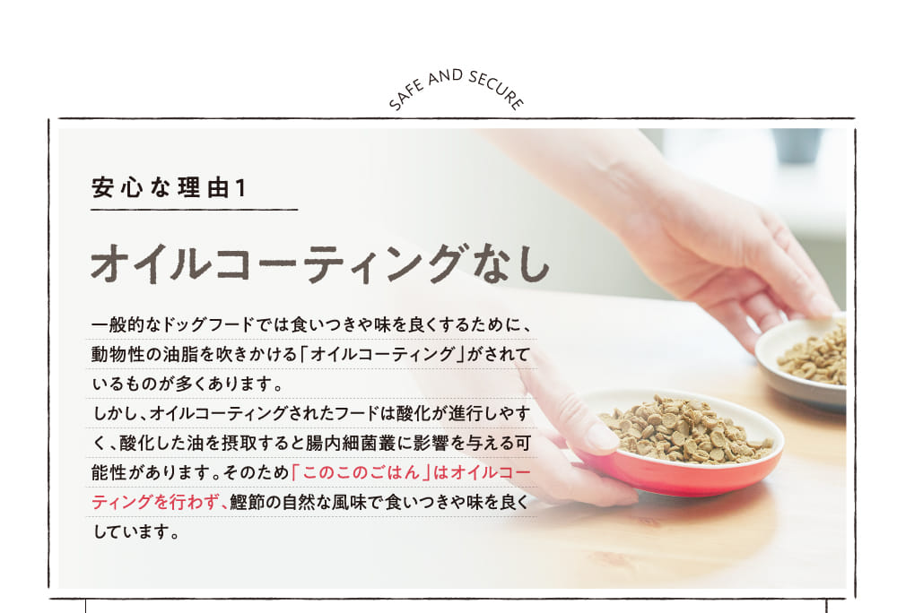 オイルコーティングなし