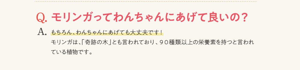 Q.モリンガってわんちゃんにあげて良いの？...
