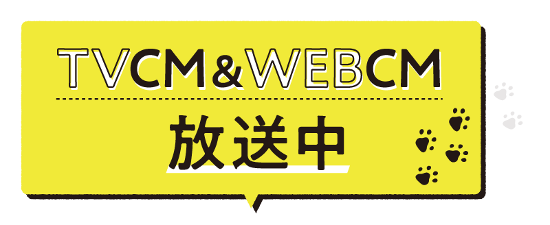 TVCM＆WEBCM放送中