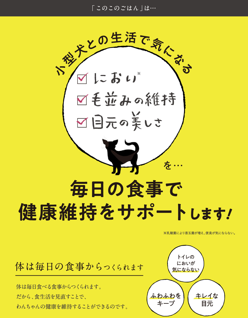 毎日の食事で健康維持をサポートします！