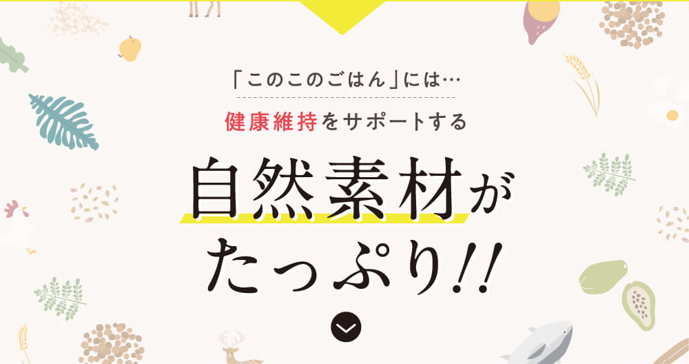 「このこのごはん」には…健康維持をサポートする自然素材がたっぷり！！