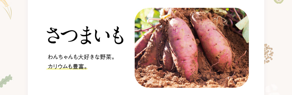 さつまいも