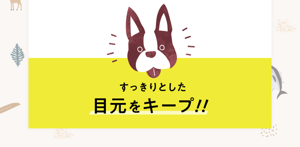 すっきりとした目元をキープ！！