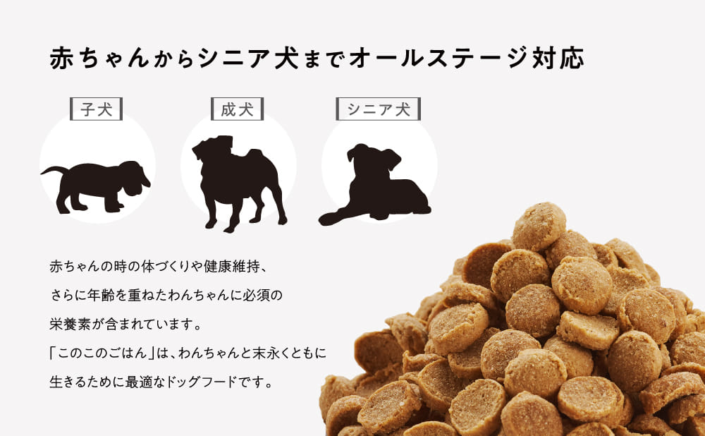 赤ちゃんからシニア犬までオールステージ対応