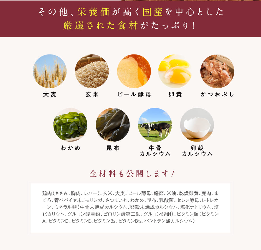 その他、栄養価が高く国産を中心とした厳選された食材がたっぷり！