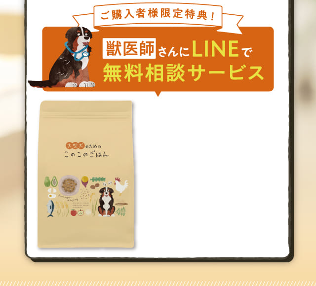 獣医師さんにLINEで無料相談サービス