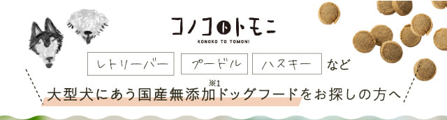 コノコトトモニ