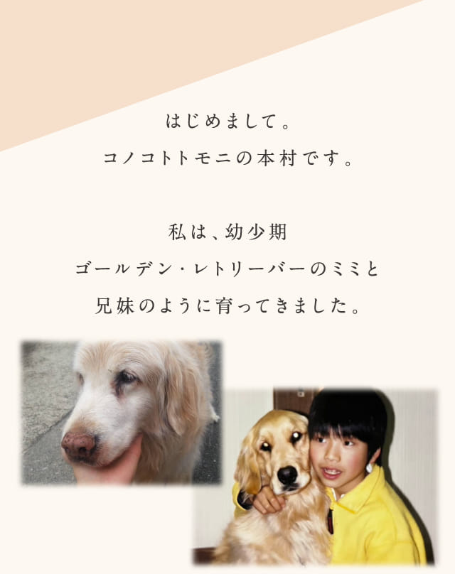 私は、幼少期ゴールデン・レトリーバーのミミと兄妹のように育ってきました。